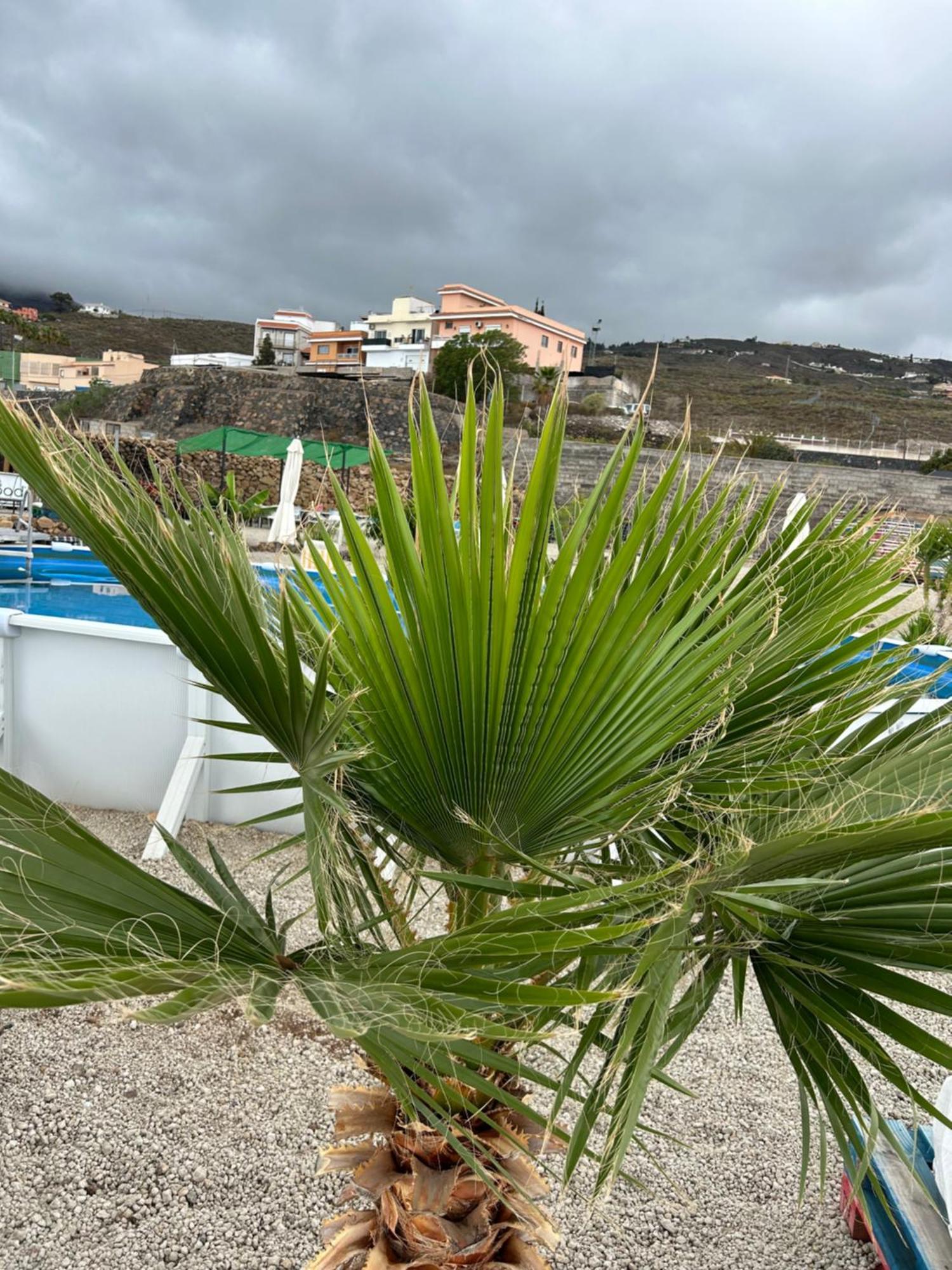 Casa Mirador Lägenhet Arona  Exteriör bild