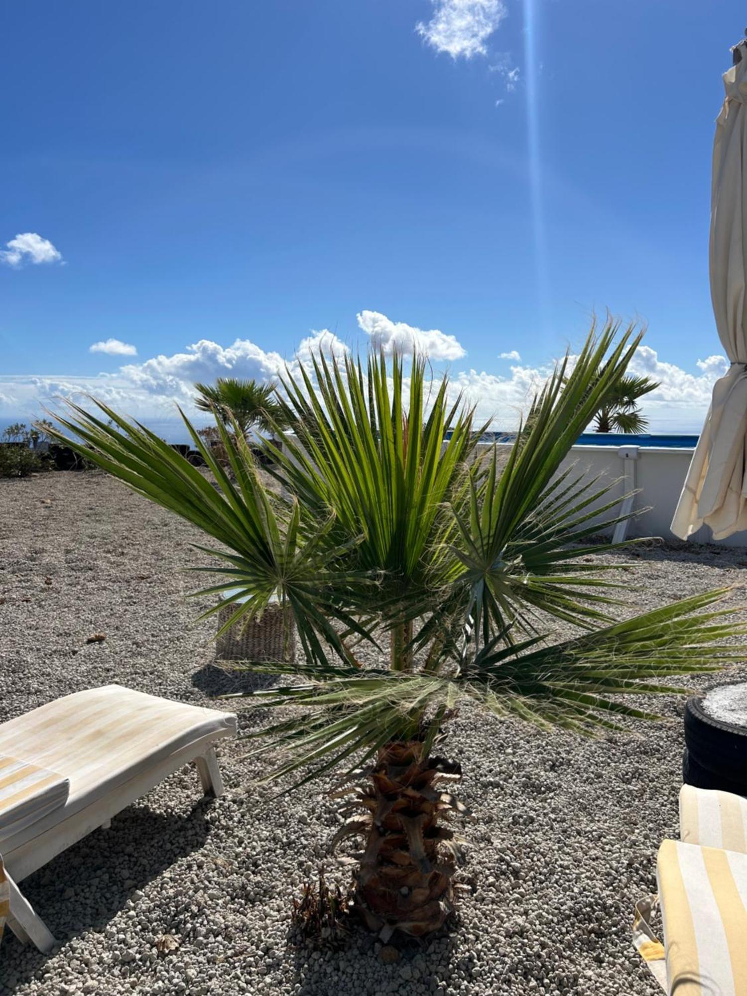 Casa Mirador Lägenhet Arona  Exteriör bild