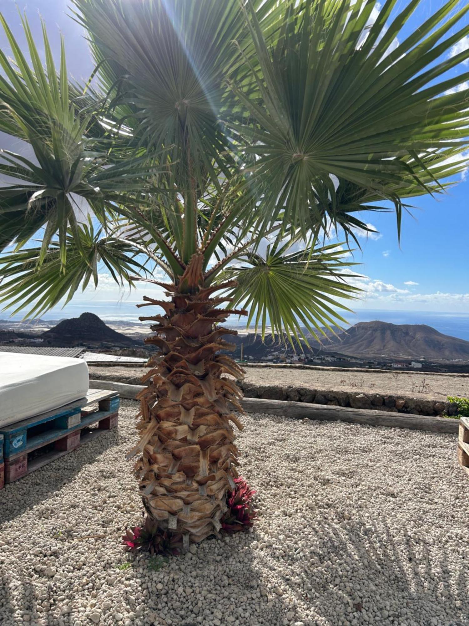 Casa Mirador Lägenhet Arona  Exteriör bild